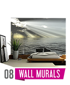 Wall Murals